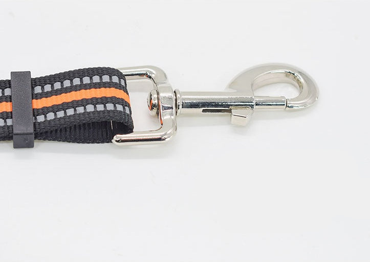 Pet Nylon Retractable Assisted Leash System