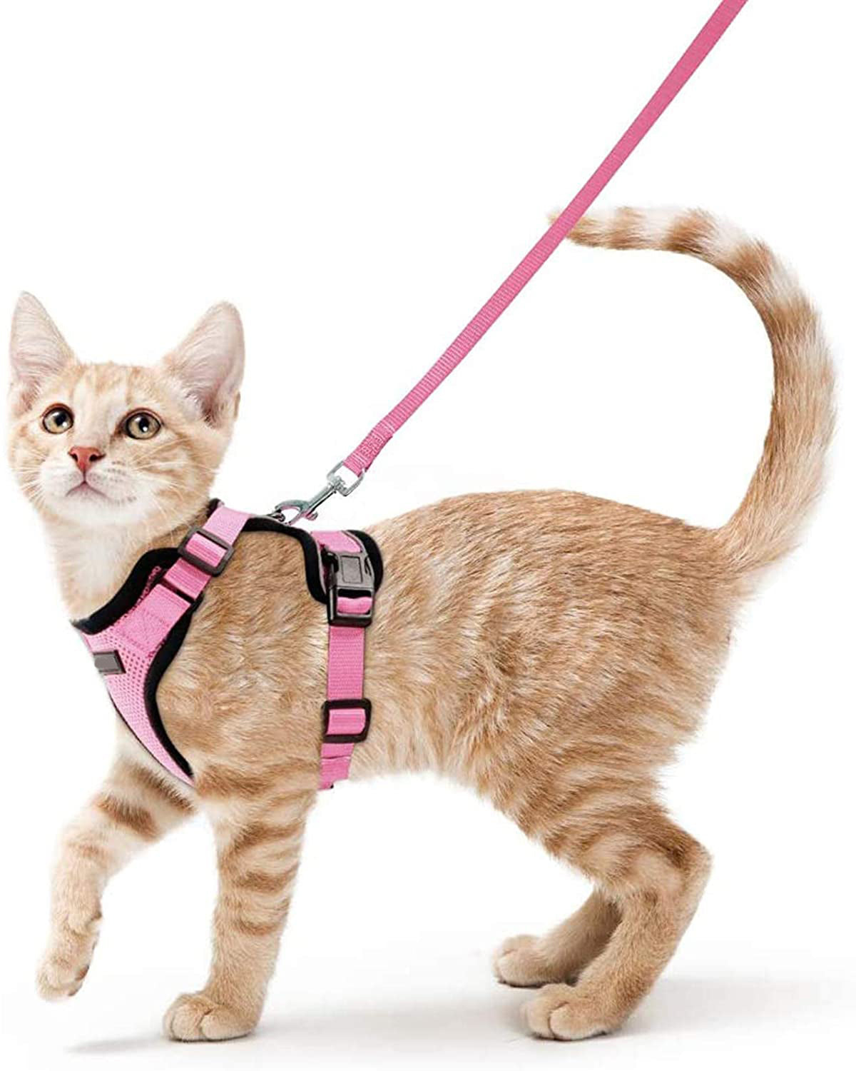Pet Adjustable Vest Type Breakaway Leash Harness