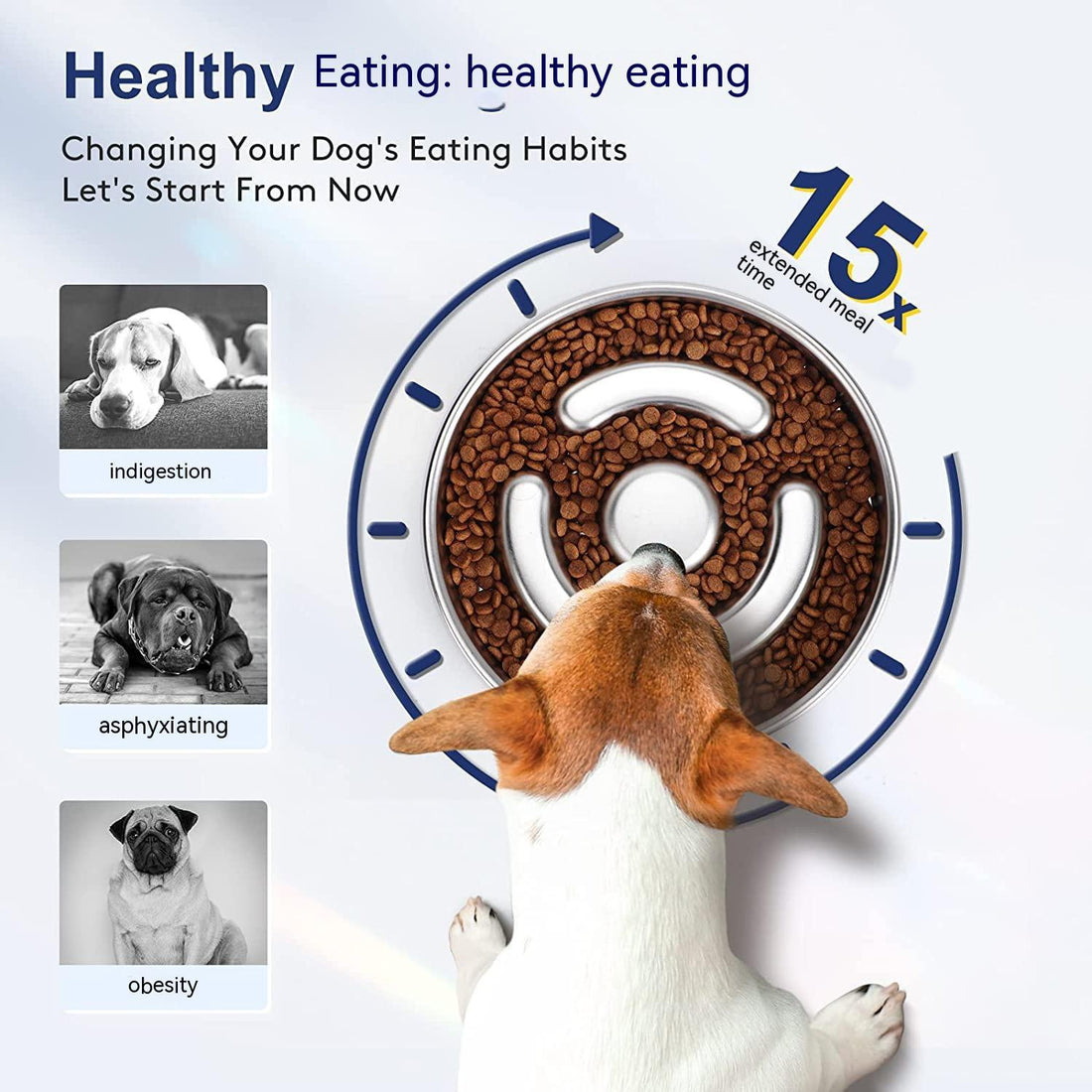 Pet Stainless Steel Slow Feeding Bowl Neck Protector Design