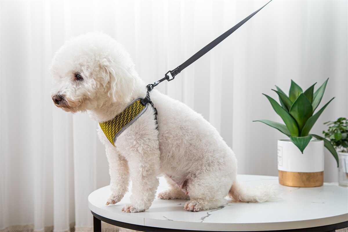 Vest Style Pet Walking Harness With Leash Control System