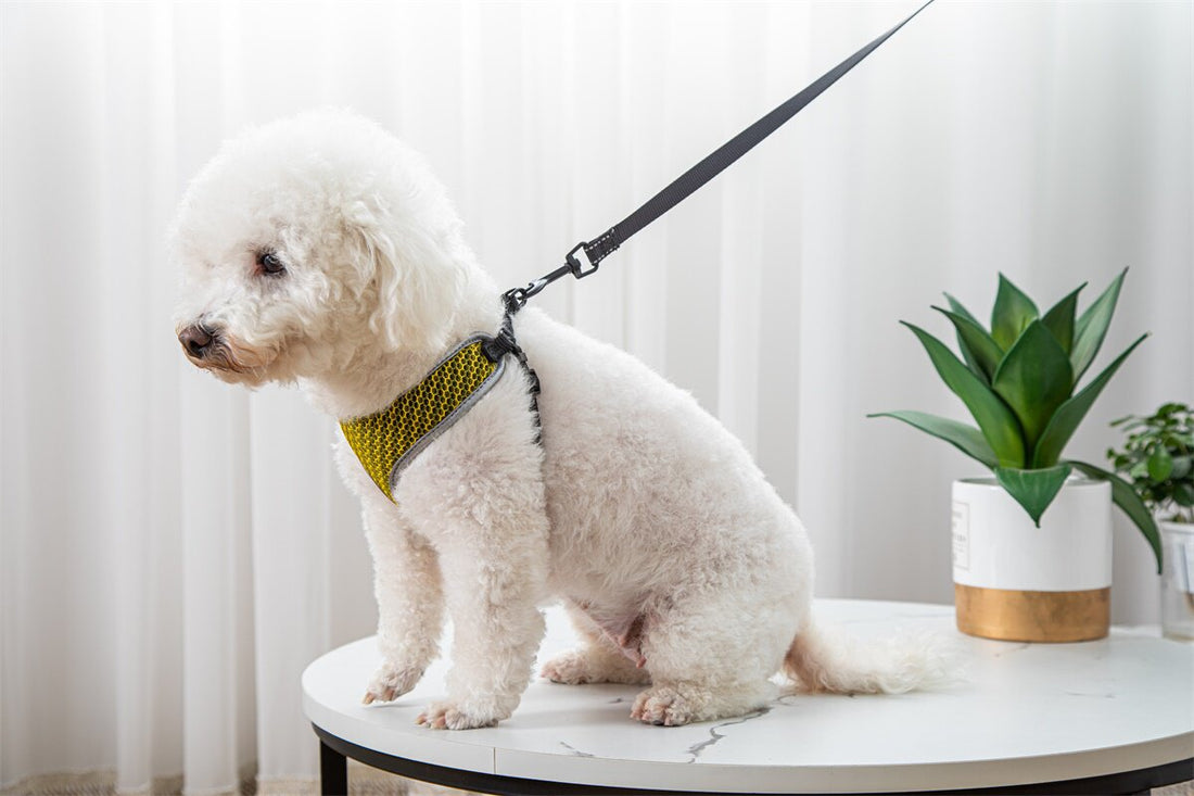 Vest Style Pet Walking Harness With Leash Control System