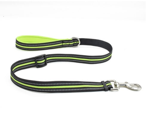 Pet Nylon Retractable Assisted Leash System