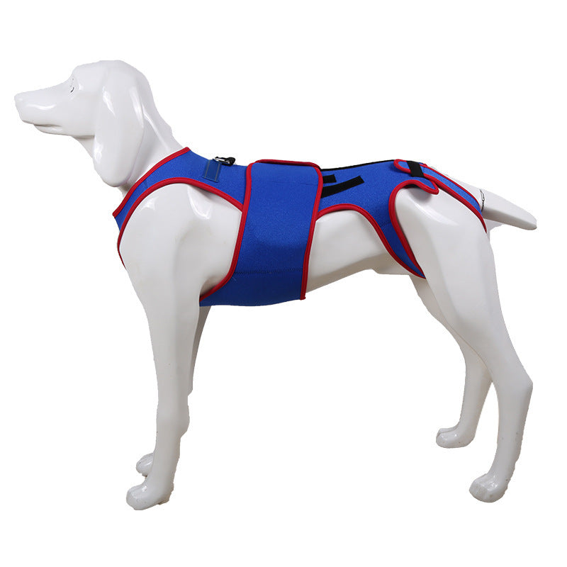 Pet Spine Support Jacket Posture Correction Vest