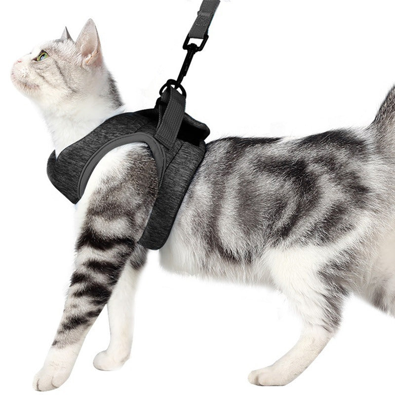 Breathable Lightweight Pet Chest Strap Lace Leash System