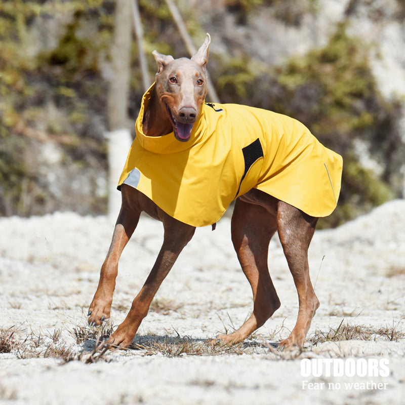 Waterproof Windproof Shell Raincoat Pet Jacket