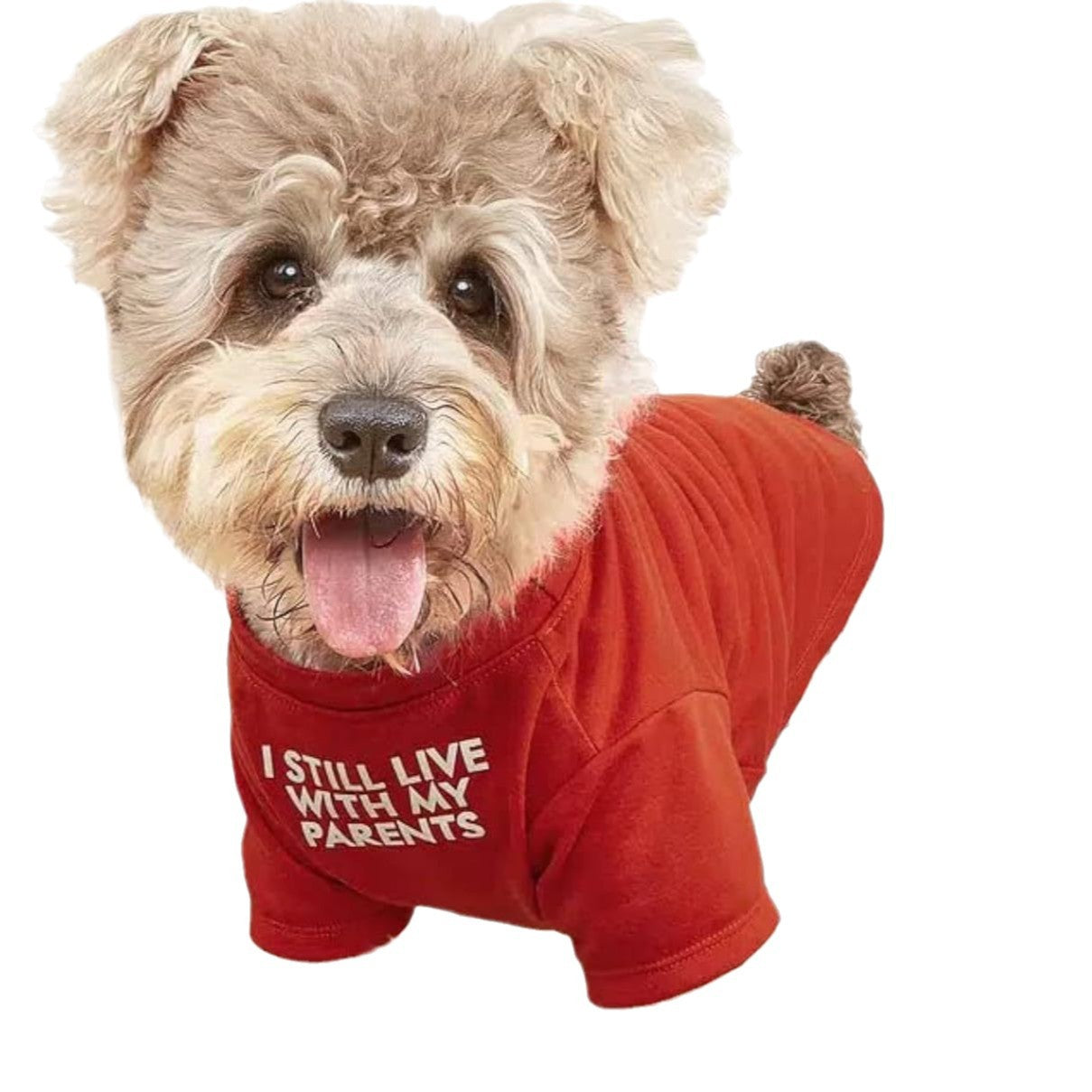 Round Neck Pet T Shirt Casual Wear Top