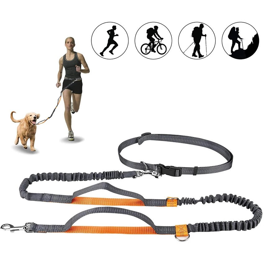 Adjustable Pet Harness Collar Jogging Control Leash Lead