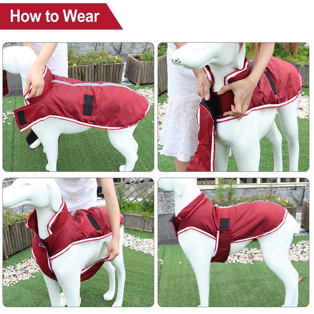 Warm Waterproof Leisure Winter Pet Jacket