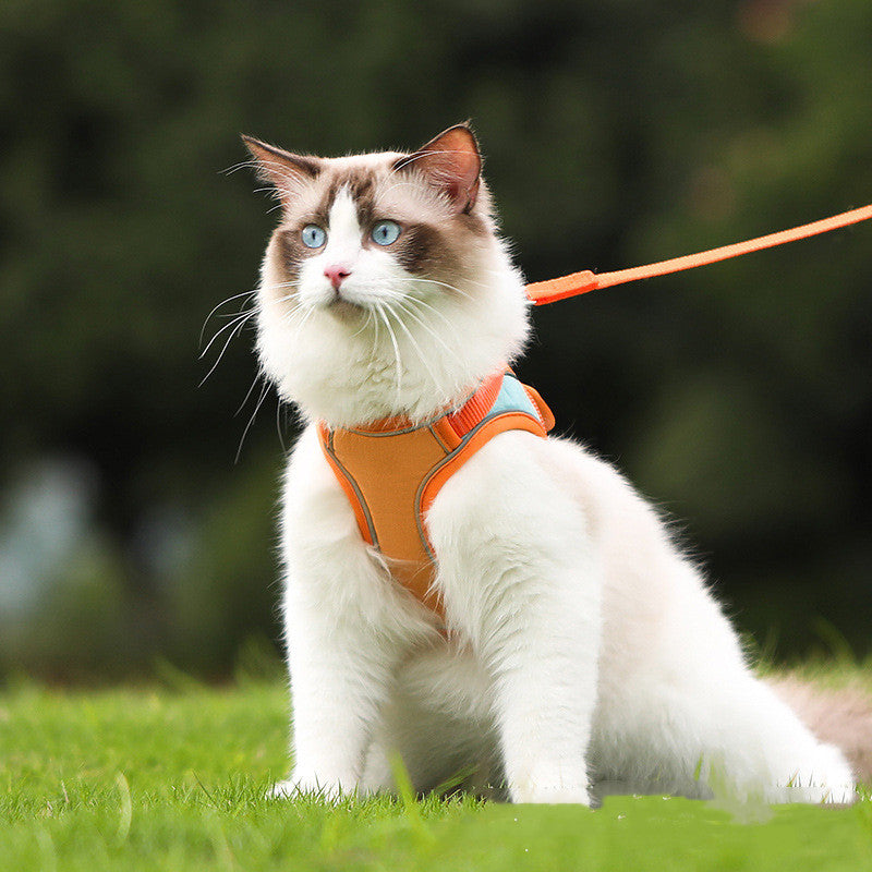 Pet Reflective Anti Escape Harness And Leash