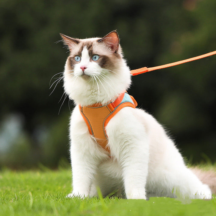 Pet Reflective Anti Escape Harness And Leash