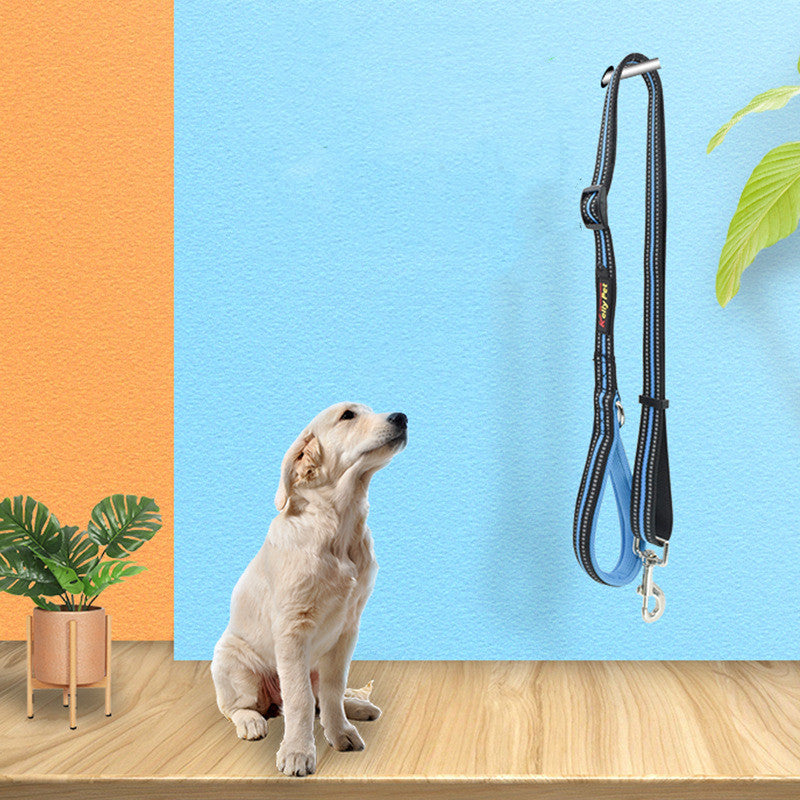 Pet Nylon Retractable Assisted Leash System