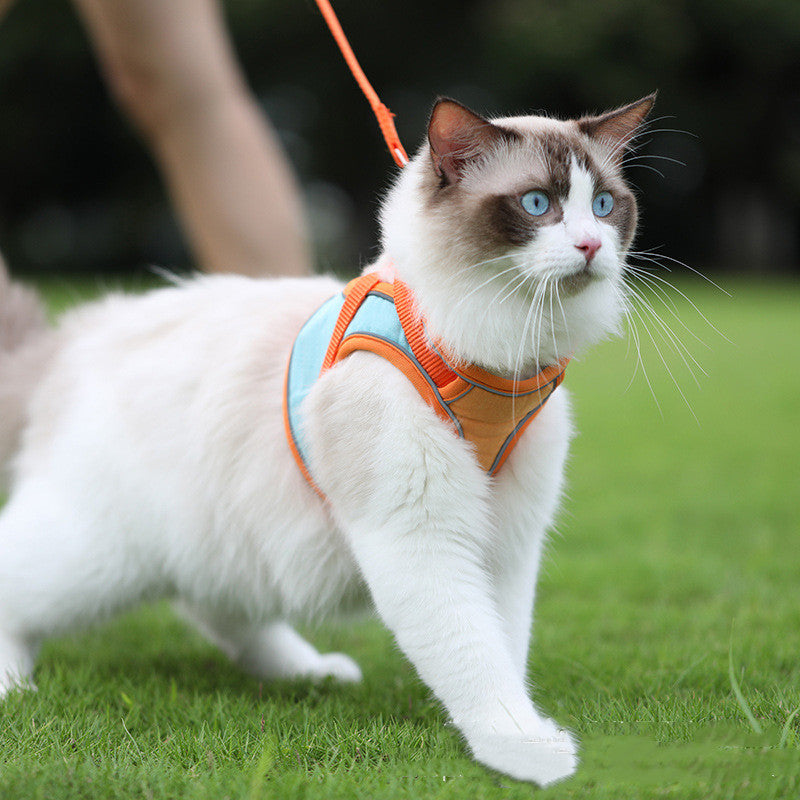 Pet Reflective Anti Escape Harness And Leash