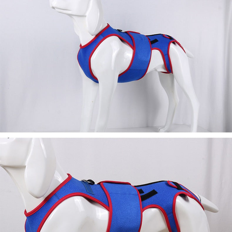 Pet Spine Support Jacket Posture Correction Vest