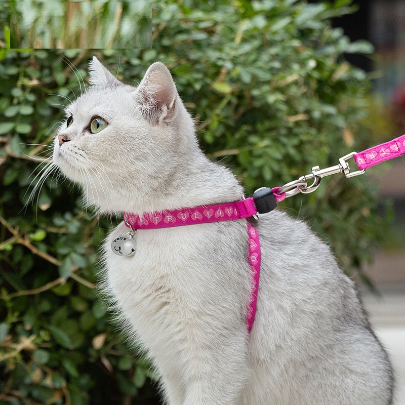 Pet Bell Chest Strap Vest With Leash Control System