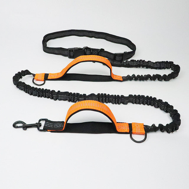 Adjustable Pet Harness Collar Jogging Control Leash Lead