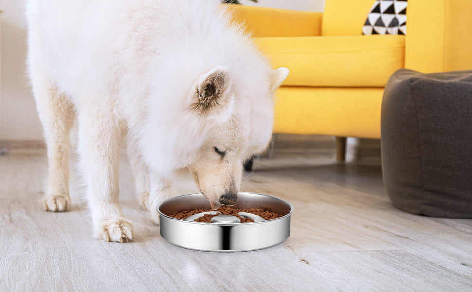 Pet Stainless Steel Slow Feeding Bowl Neck Protector Design