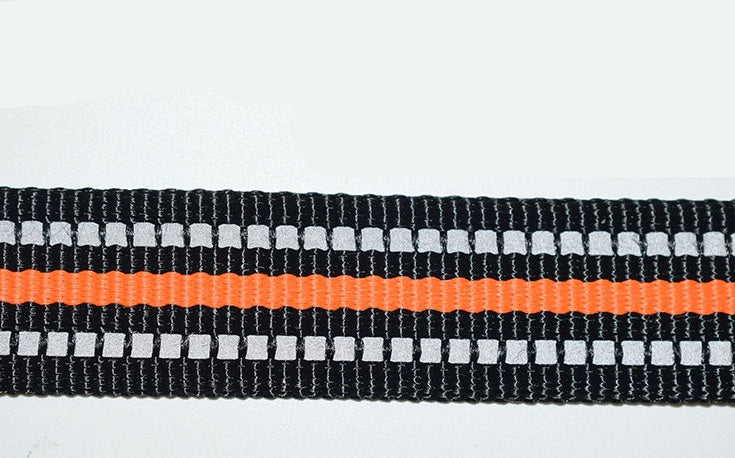 Pet Nylon Retractable Assisted Leash System